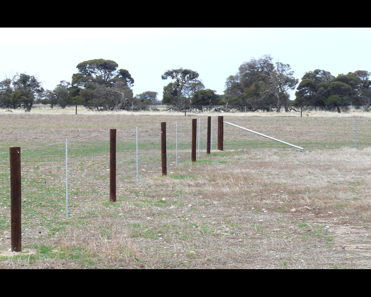 Rural Fence